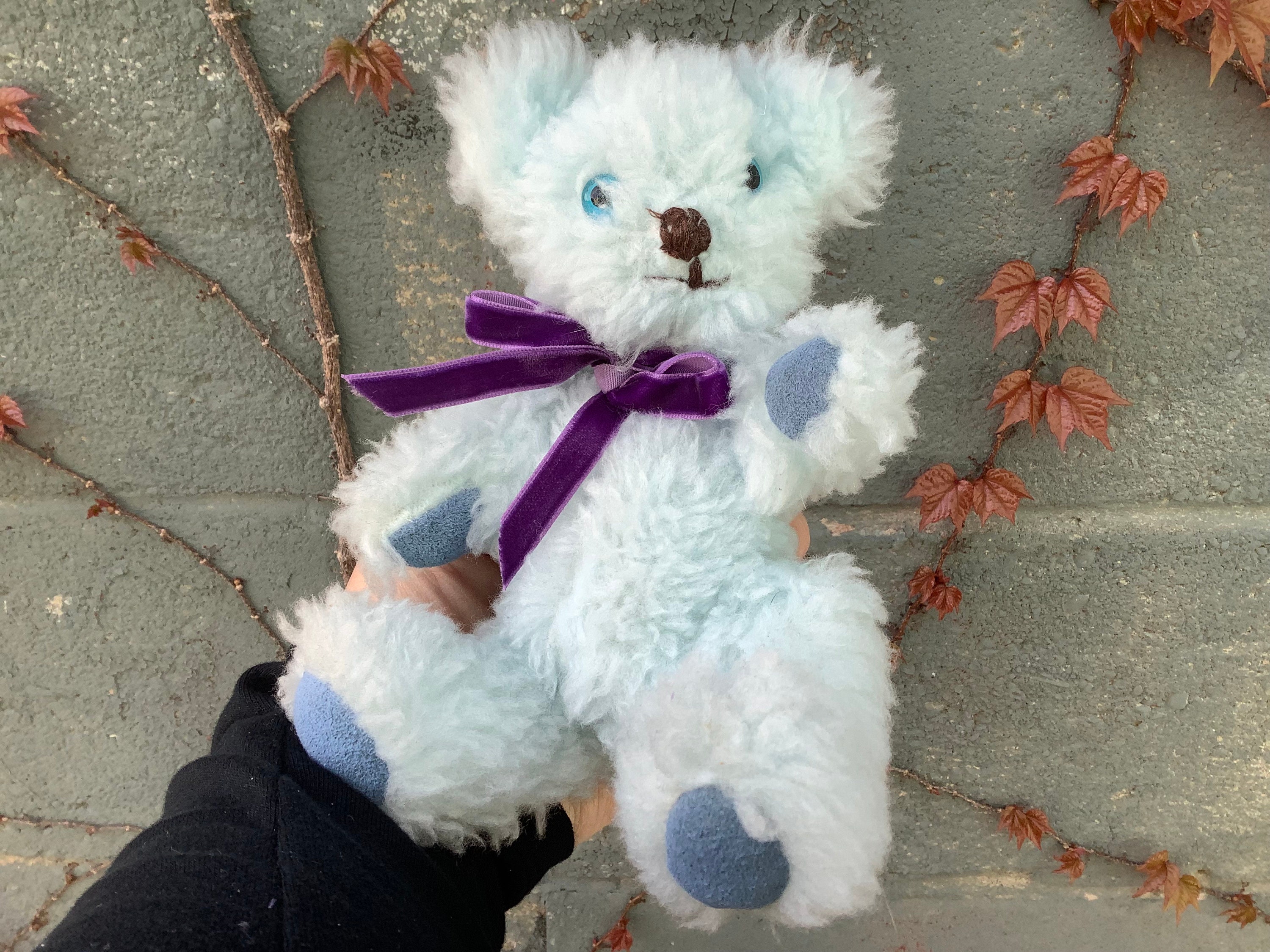 Pedigree Bear - Etsy Canada
