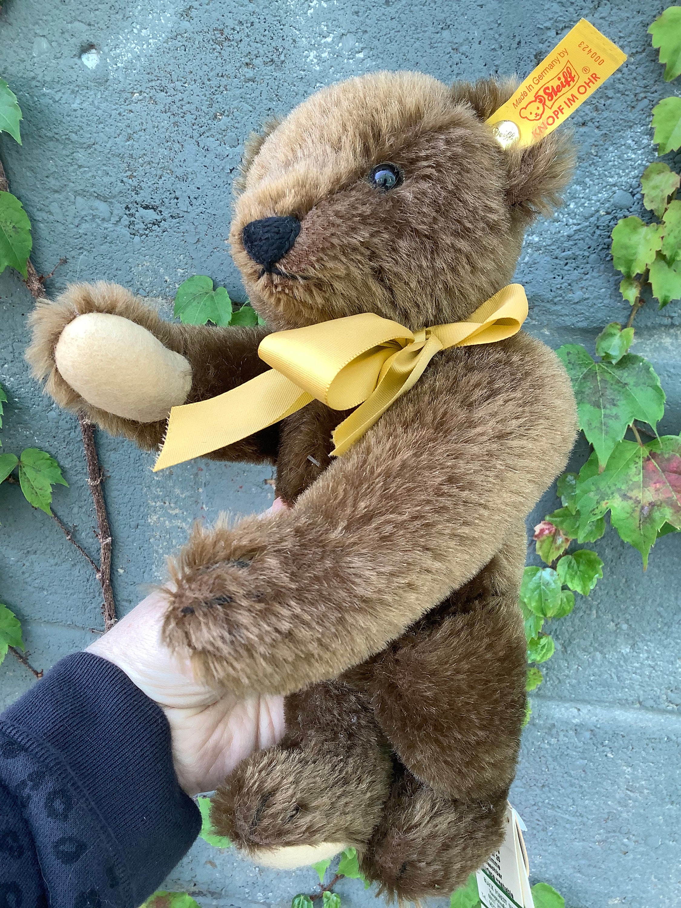Steiff Classic 1909 Repro Teddy Bear All Tags and Ear Button Circa