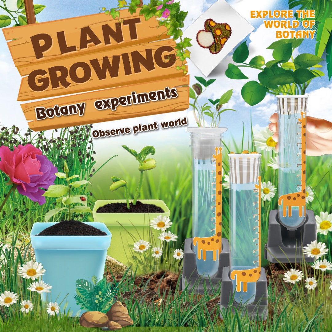Plant Growing Botany Experiments Etsy