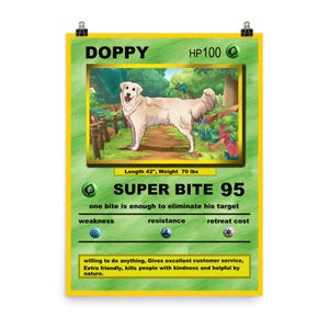 Animal de compagnie Pokémon personnalisé, poster