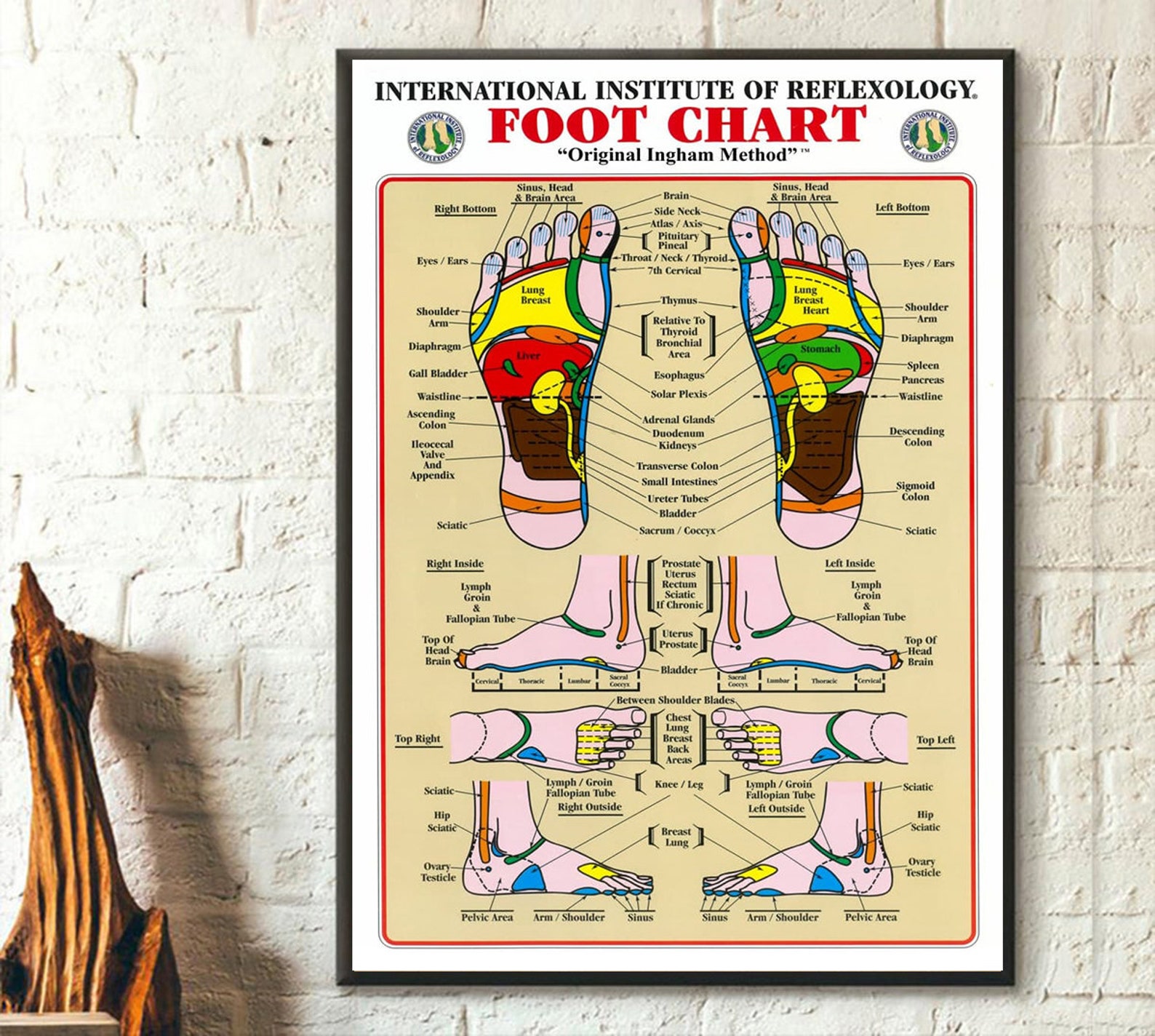 Foot Reflexology Chart by Institute of Reflexology Gift Etsy UK