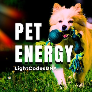 Op de afbeelding: Een crème kleurige hond die door het gras rent en een blauw en groen hondenspeeltje vasthoudt. De afbeelding bevat de woorden "PET ENERGY" in grote witte letters, met "LightCodesDNA" eronder.