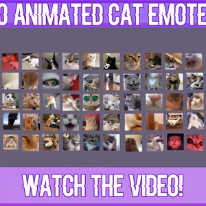 50 EMOTES DE GATOS ANIMADOS / Meme Cats Twitch Discord Emotes
