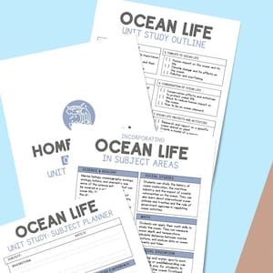 Ocean Life Unit Study, Ocean Life, Unit Study, Digital Download, Instant Download, Printable Download, Ocean, Study of Ocean Life