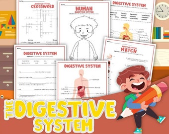 The Digestive System, Digestive System, Digital Download, Instant Download, Printable Download, STEM, STEM Worksheets, STEM Activities