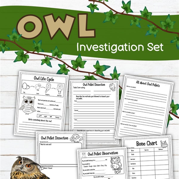 Owl Investigation Set, owl pellets, digital download, printable download, instant download, STEM, owls, animal investigations