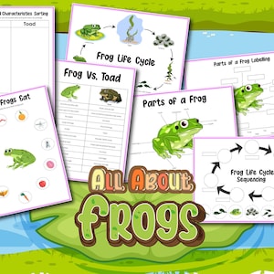May include: A set of printable educational worksheets about frogs. The worksheets include activities such as sorting frog and toad characteristics, labeling parts of a frog, and sequencing the frog life cycle.