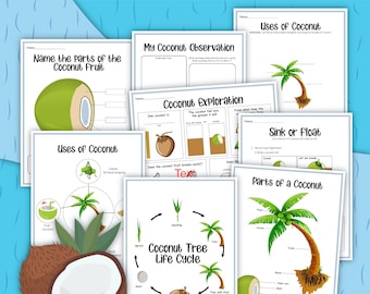 May include: A set of printable worksheets for kids to learn about coconuts. The worksheets include activities like naming the parts of a coconut, exploring its uses, and learning about its life cycle. The worksheets feature colorful illustrations of coconuts and coconut trees.