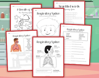 Sistema respiratorio, Función respiratoria, descarga instantánea, hojas de trabajo para niños, descarga digital