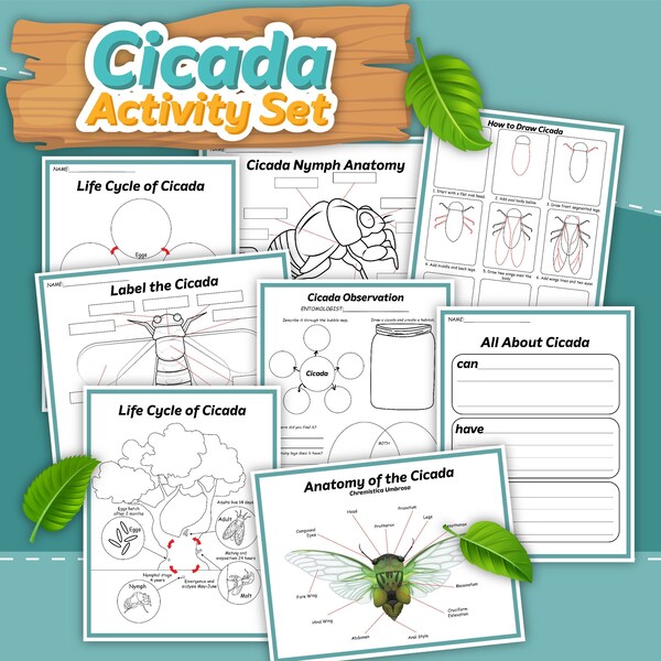 Cicada Unit Study, cicada workbook, digital download, instant download, STEM, STEM workbook,Insect workbook, science lesson, cicada lesson