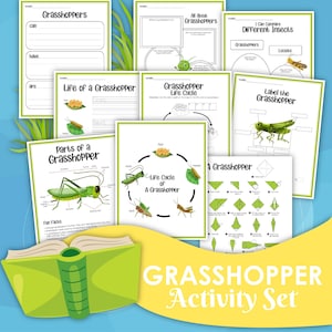 Grashüpfer Aktivitätsset, Grashüpfer Lebenszyklus, digitaler Download, Sofortiger Download, druckbarer Download, STEM, Teile einer Heuschrecke