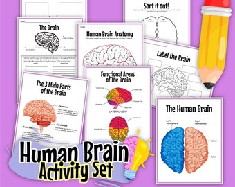 Conjunto de actividades del cerebro humano, El cerebro humano, descarga instantánea, libro de trabajo STEM, descarga digital, libro de trabajo para niños
