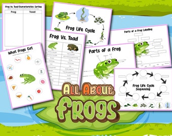 Alles über Frösche Kinder Set, Frösche, sofortiger Download, digitaler Download, Frosch Lebenszyklus, Frosch Arbeitsblatt