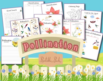 May include: A printable pack of educational worksheets about pollination. The worksheets feature colorful illustrations of flowers, insects, and birds. The title of the pack is "Pollination Printable Pack".