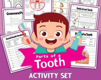 Partes de un juego de dientes, descarga instantánea, descarga digital, libro de trabajo para niños, libro de trabajo STEM, salud dental, anatomía de un diente