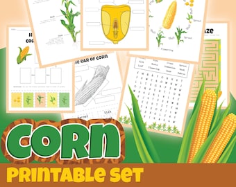 May include: A printable set of educational worksheets about corn. The set includes a life cycle diagram, a corn kernel diagram, a word search, a maze, and a coloring page. The worksheets are colorful and feature illustrations of corn plants and kernels.