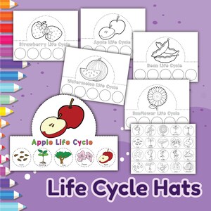 Plant Life Cycle Hats, Plant Life, Plants, digital download, instant download, printable download, plant lifecycle, STEM, STEM worksheets