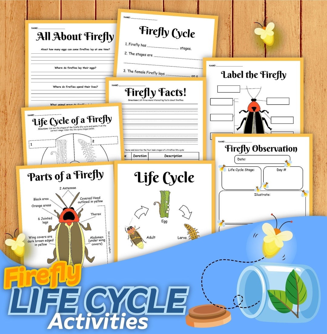Firefly Lifecycle Activity Set, Fireflies, Digital Download, Instant  Download, Printable Download, Firefly Lifecycle, STEM, STEM Worksheets 