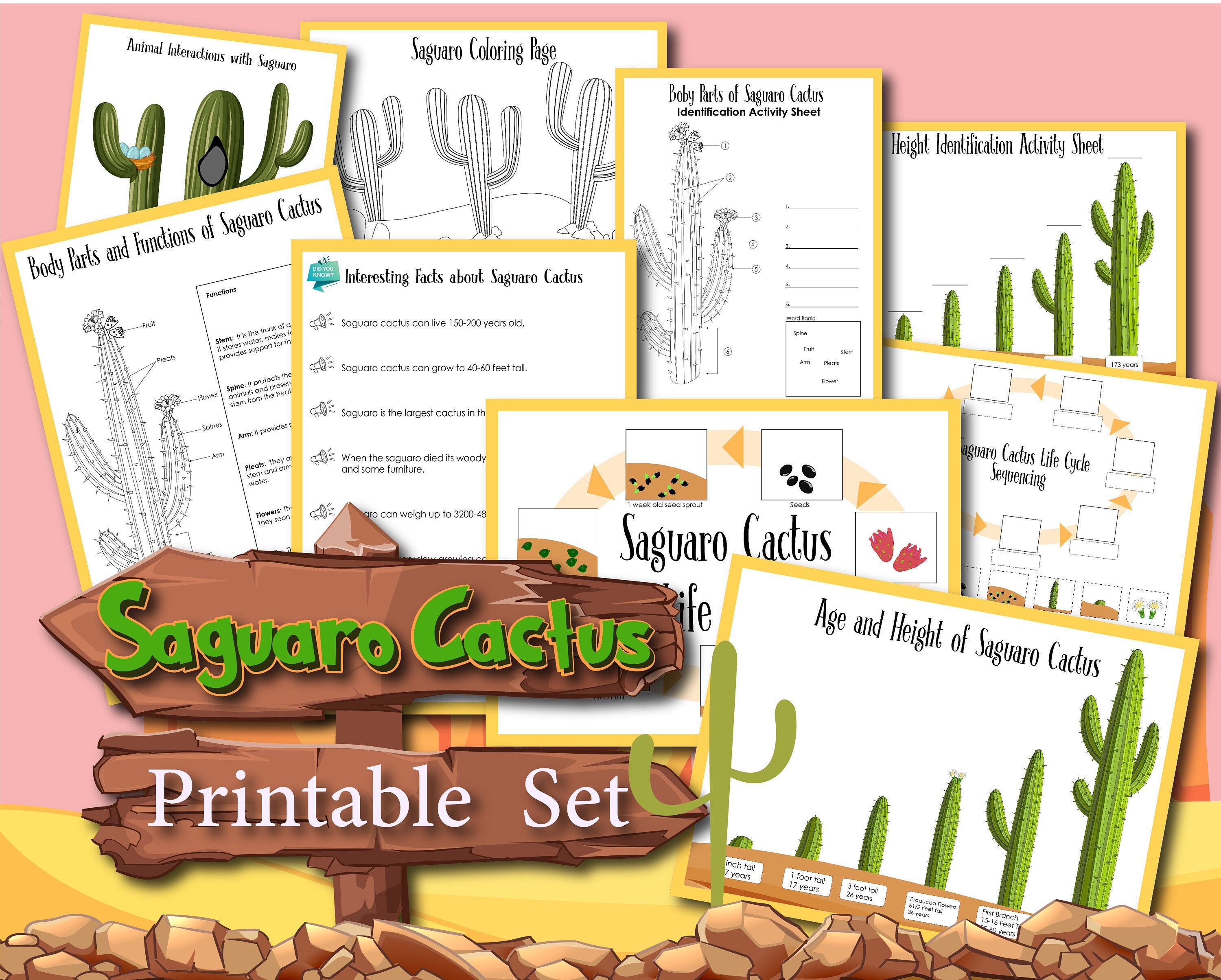 Cactus, Cactus Saguaro, descarga instantánea, libro de trabajo STEM,  descarga digital, libro de trabajo para niños, STEM -  México