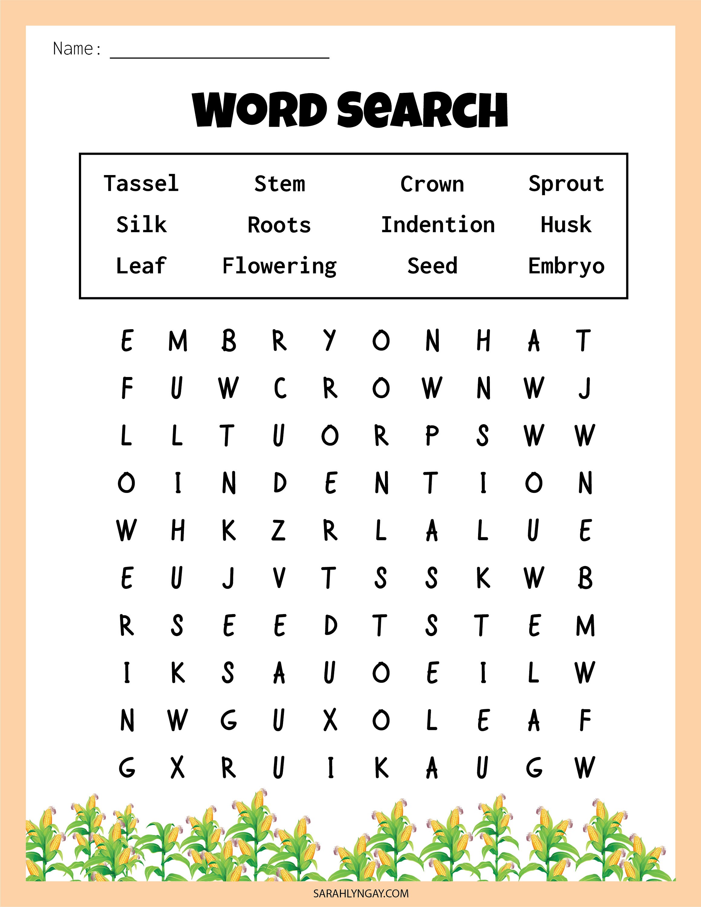 Corn Life Cycle, Instant Download STEM Workbook, Digital Download, Kids ...