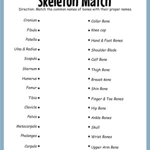 Puede incluir: Una hoja de trabajo imprimible en blanco y negro con el t&iacute;tulo "Skeleton Match". La hoja de trabajo tiene una lista de nombres de huesos comunes a la izquierda y una lista de nombres de huesos propios a la derecha. El usuario debe hacer coincidir los nombres comunes con los nombres propios.