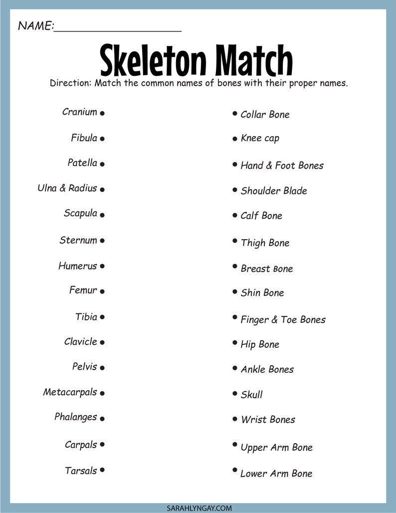 Puede incluir: Una hoja de trabajo imprimible en blanco y negro con el t&iacute;tulo "Skeleton Match". La hoja de trabajo tiene una lista de nombres de huesos comunes a la izquierda y una lista de nombres de huesos propios a la derecha. El usuario debe hacer coincidir los nombres comunes con los nombres propios.