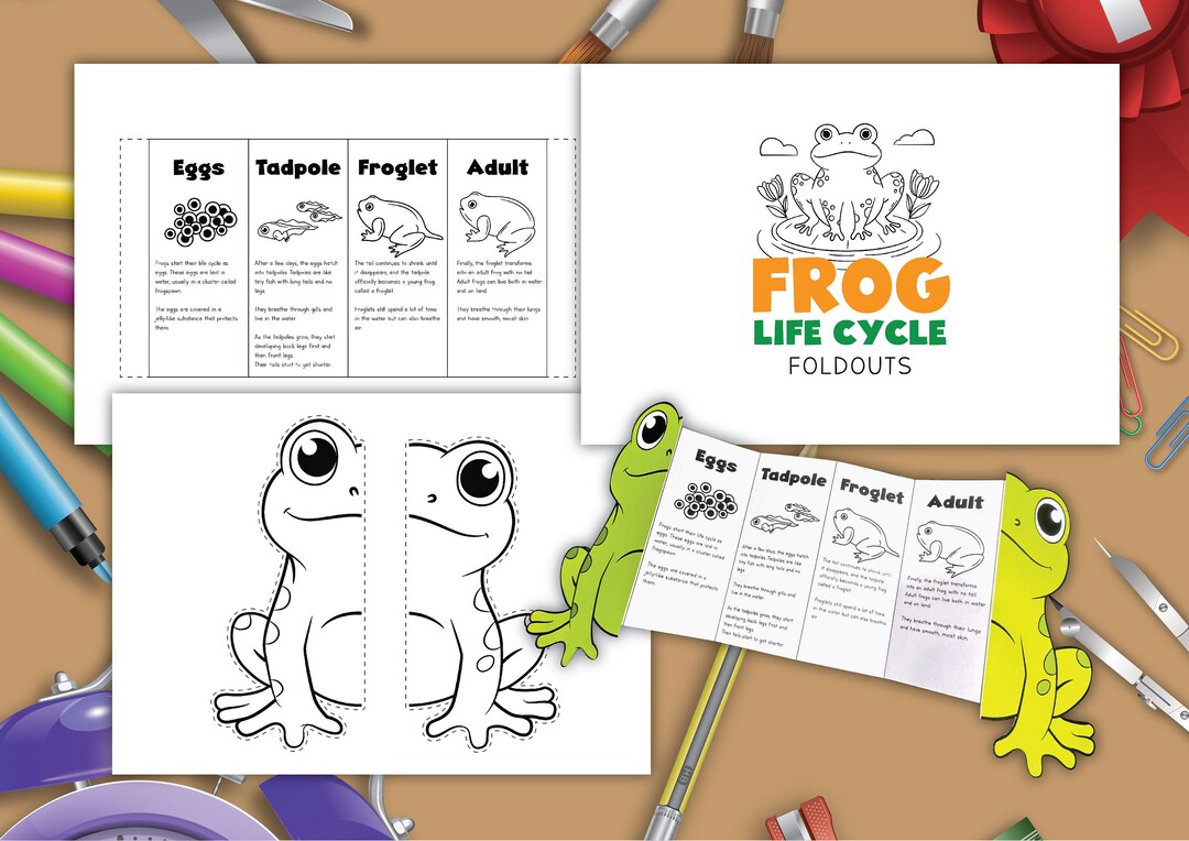 Frog Life Cycle Foldouts, Frogs, Digital Download, Instant Download ...