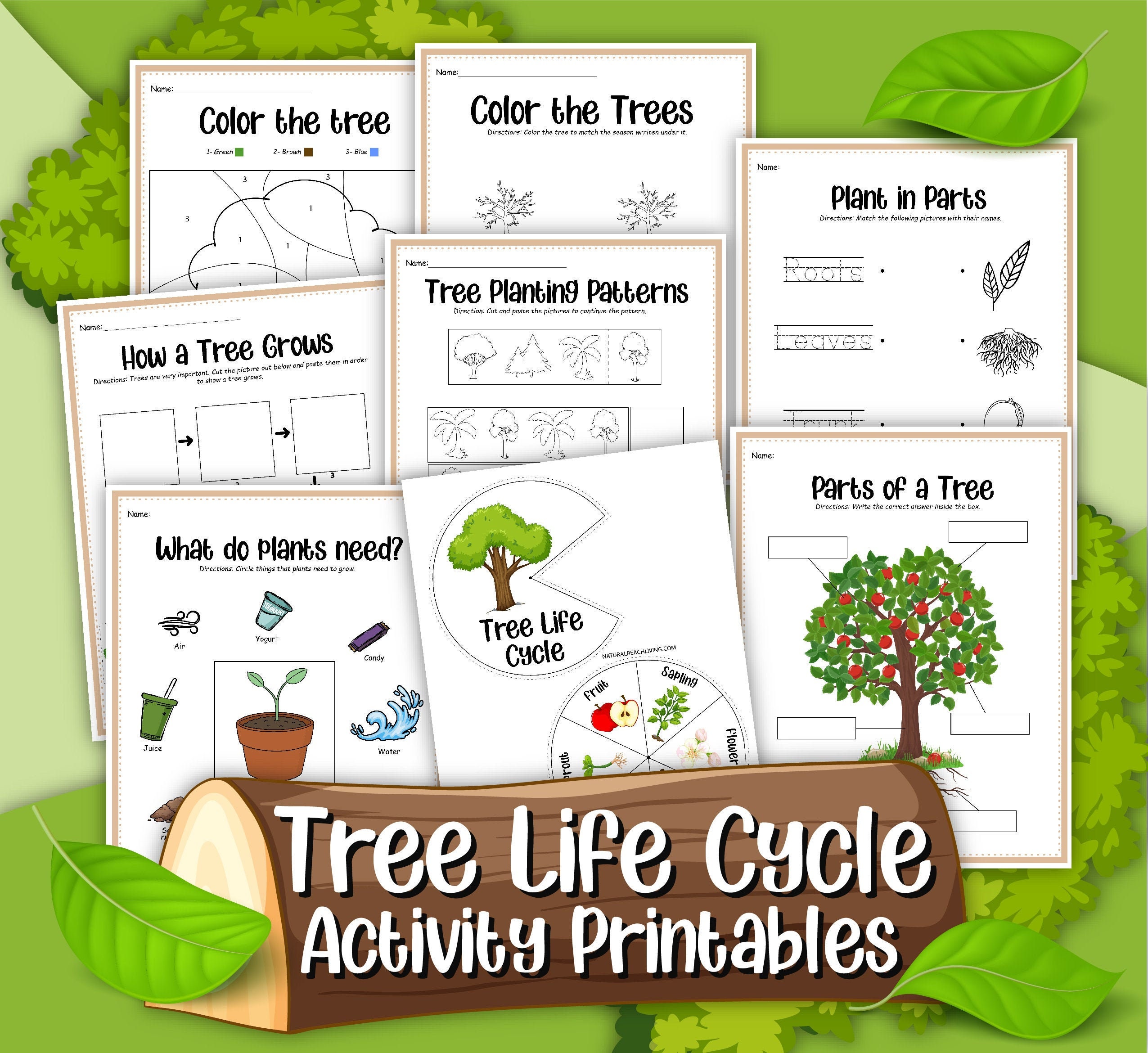 Tree Life Cycle Trees Instant Download Digital Download Kid s