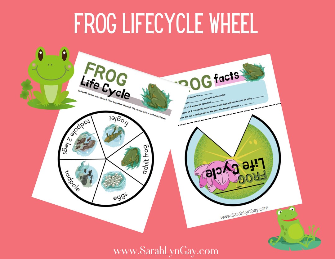 Frog Lifecycle Wheel Frogs Lifecycle Wheel Instant - Etsy Australia