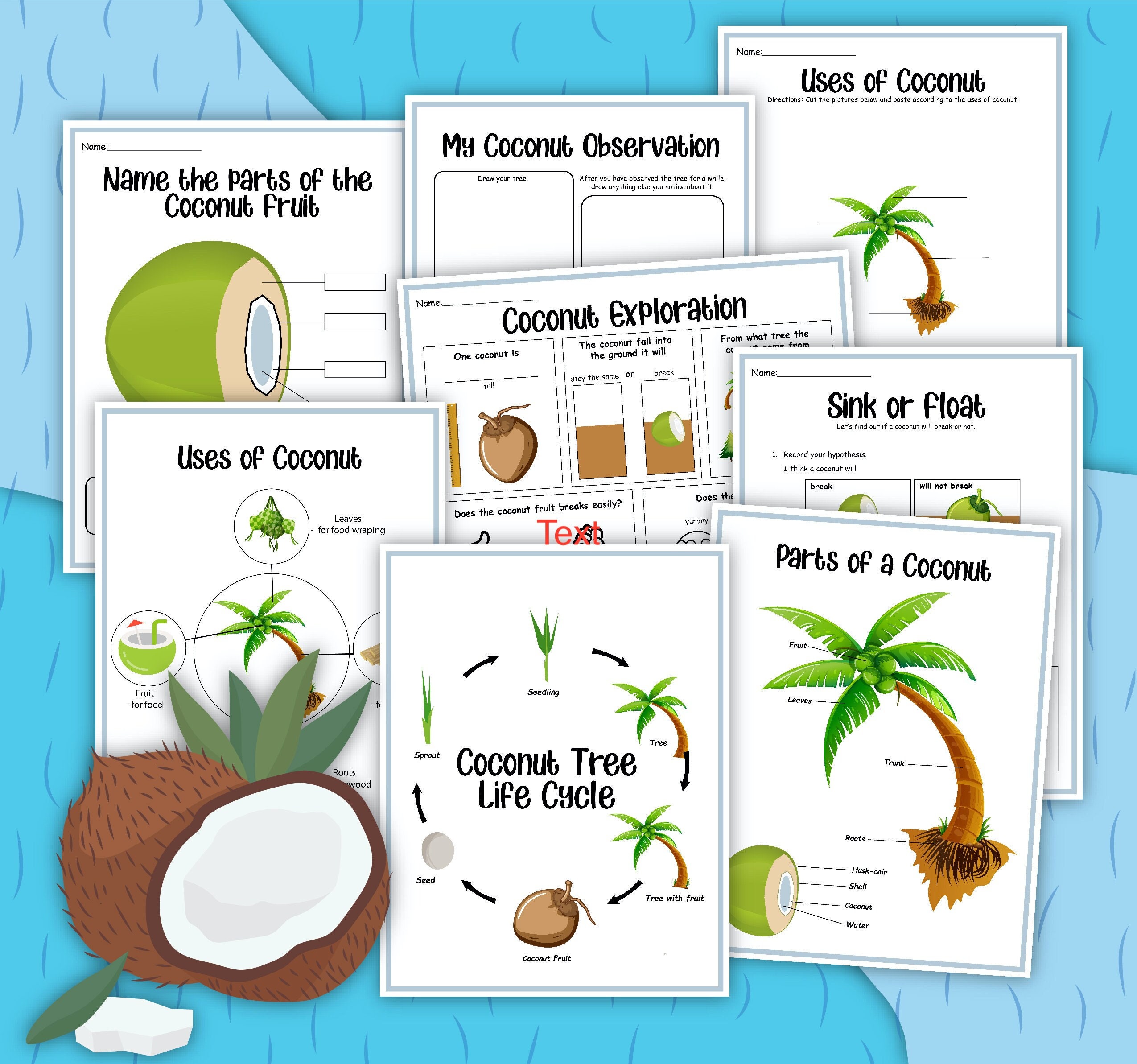 Coconut Tree Coconut Tree Life Cycle Instant Download STEM Workbook 
