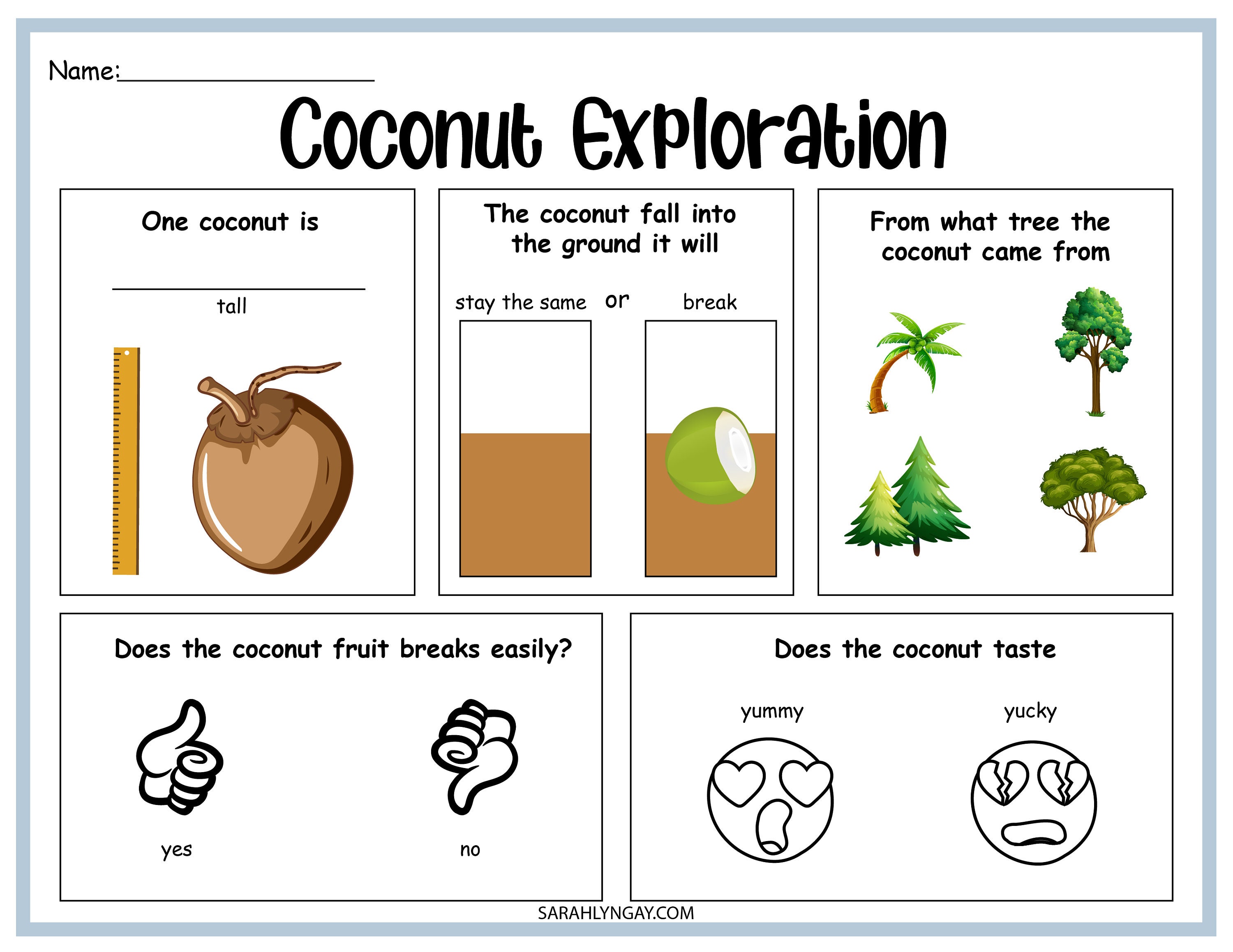 Coconut Tree, Coconut Tree Life Cycle, Instant Download, STEM Workbook