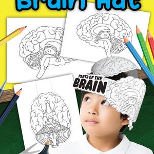 May include: A printable brain hat craft for kids. The printable includes a diagram of the brain with labels for the different parts. The printable also includes a template for a hat that can be cut out and assembled. The hat can be colored and decorated.