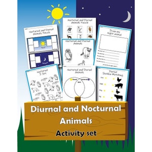 Nocturnal and Diurnal Animals Worksheet Set, printable lesson plan,printable worksheet,STEM lesson, digital download, instant download, STEM