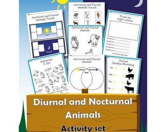Nocturnal and Diurnal Animals Worksheet Set, printable lesson plan,printable worksheet,STEM lesson, digital download, instant download, STEM