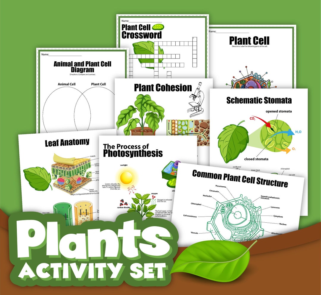 Plant Unit, Instant Download, Digital Download, Kid’s Workbook, STEM ...