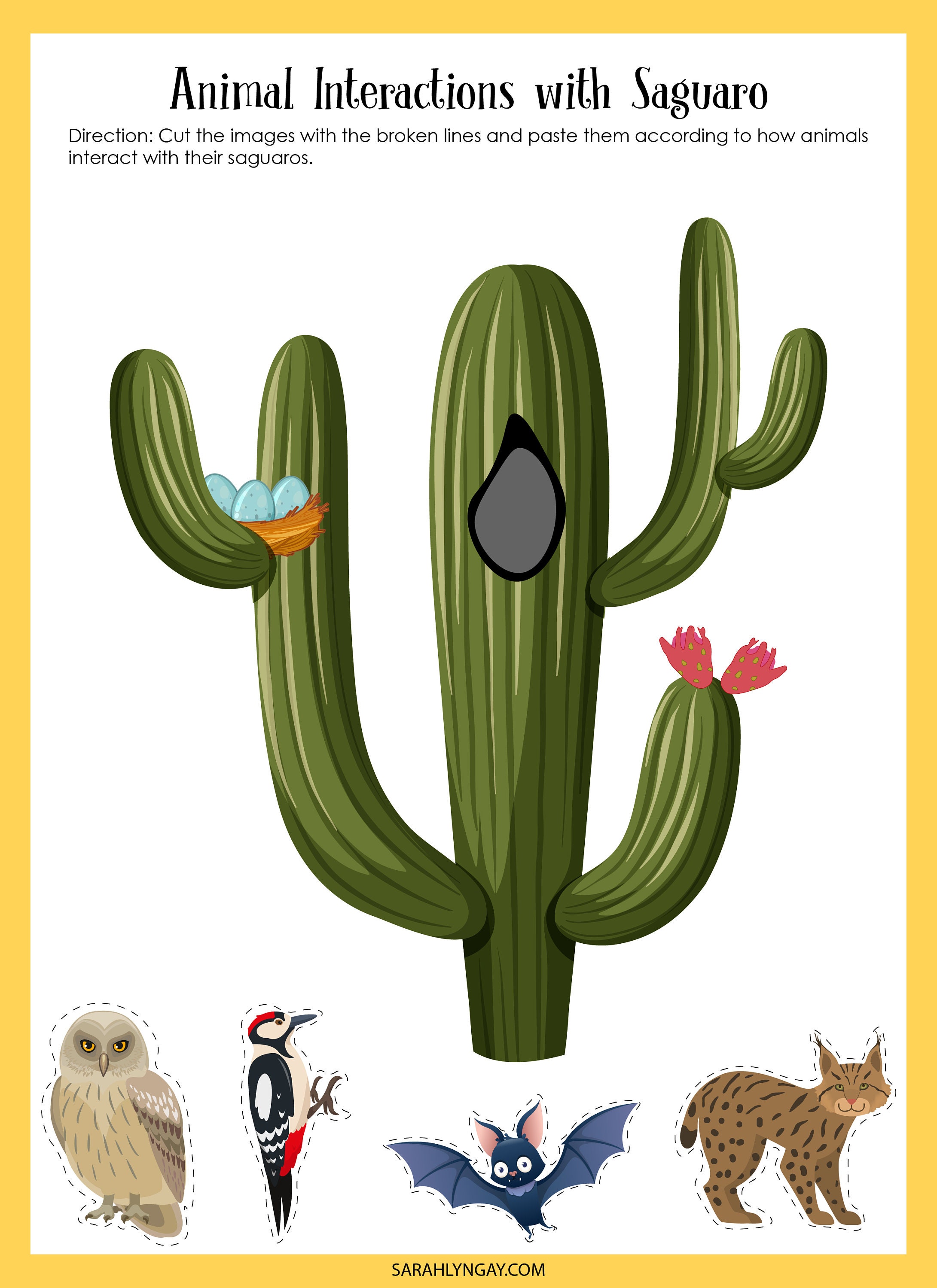 Cactus, Cactus Saguaro, descarga instantánea, libro de trabajo STEM,  descarga digital, libro de trabajo para niños, STEM -  México