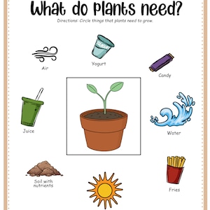 May include: A worksheet with a colorful illustration of a plant and various items, asking the question "What do plants need?" with directions to circle the items that plants need to grow. The items include air, yogurt, candy, juice, soil with nutrients, sunlight, water, and fries.
