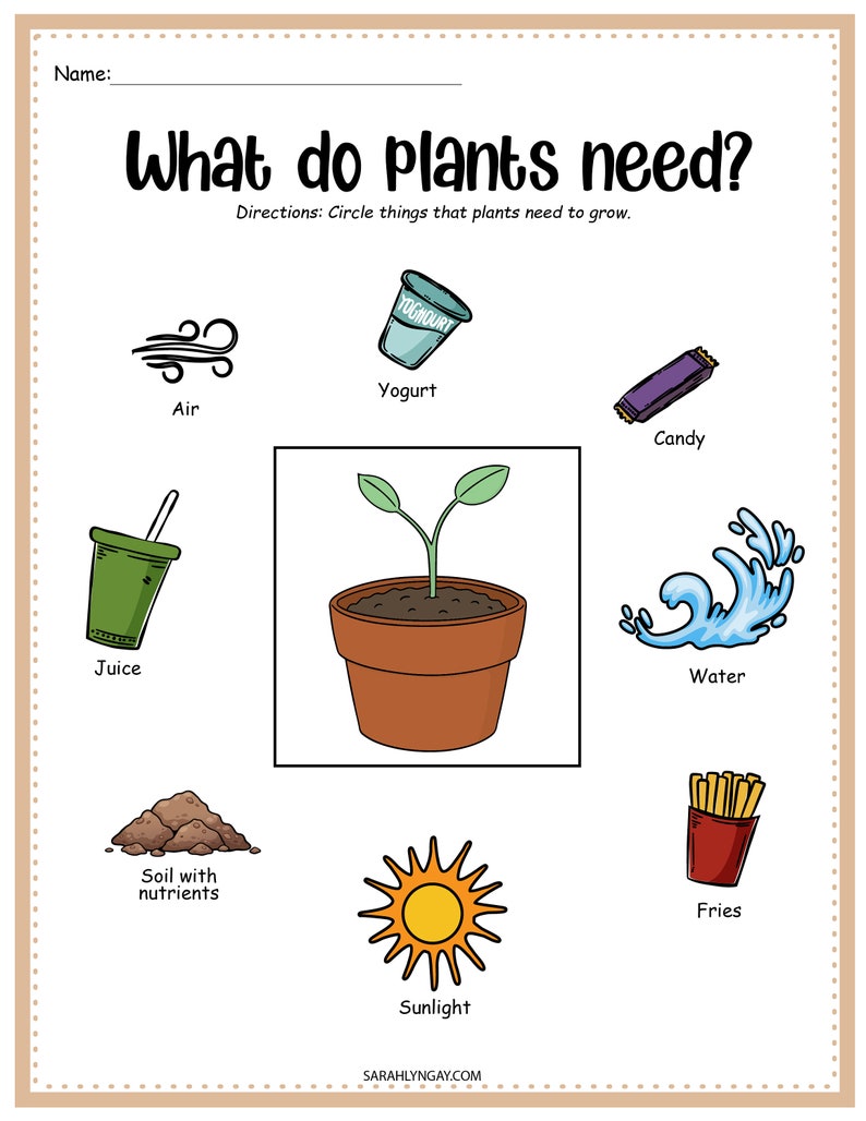 May include: A worksheet with a colorful illustration of a plant and various items, asking the question "What do plants need?" with directions to circle the items that plants need to grow. The items include air, yogurt, candy, juice, soil with nutrients, sunlight, water, and fries.