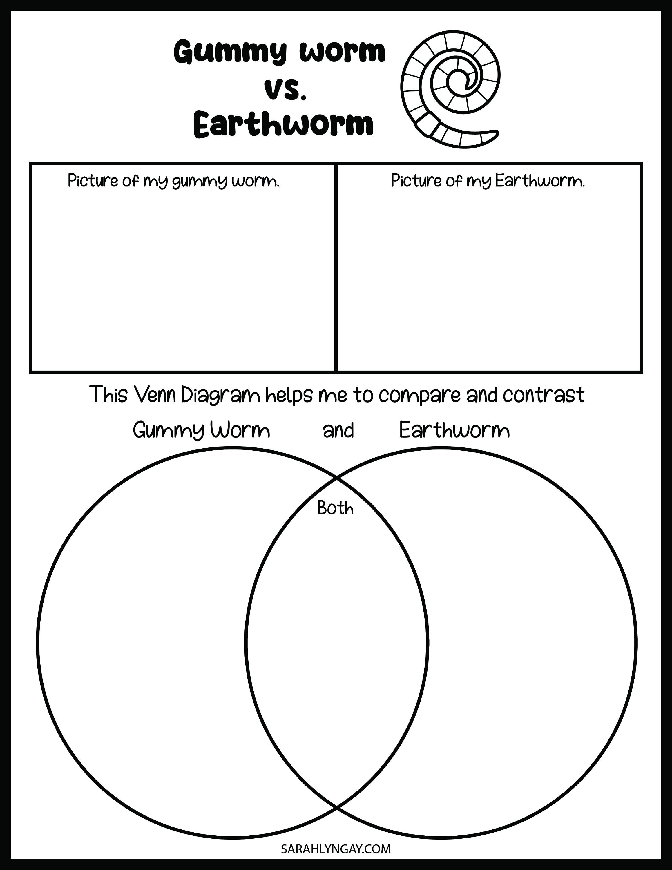 Earthworm Activity Set, Earthworms, Digital Download, Printable