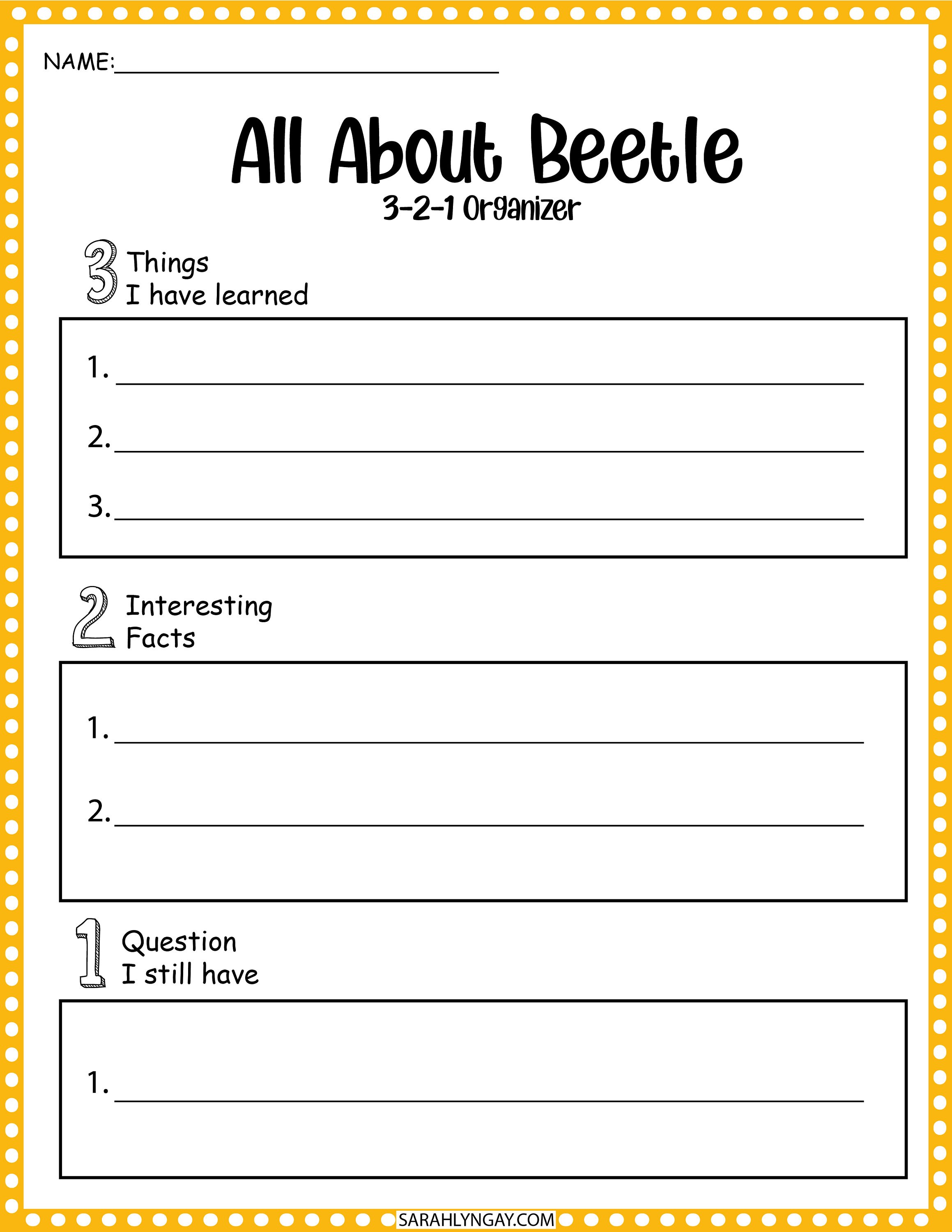 Life Cycle of a Beetle, Instant Download, STEM Workbook, Digital ...
