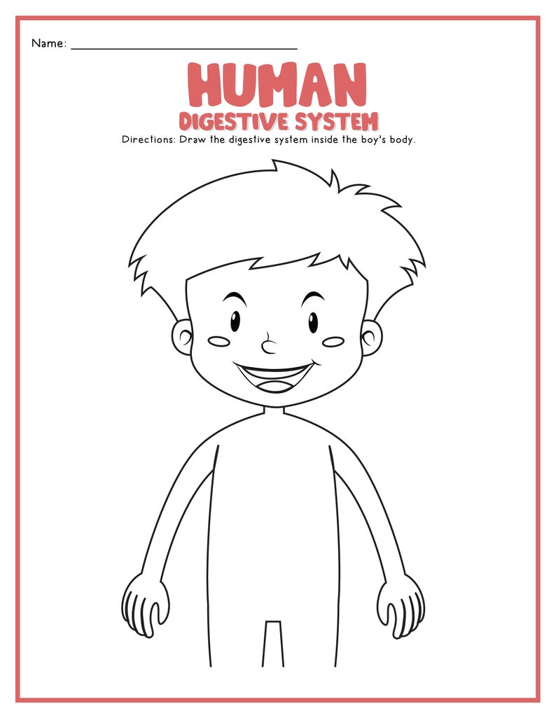 The Digestive System, Digestive System, Digital Download, Instant ...