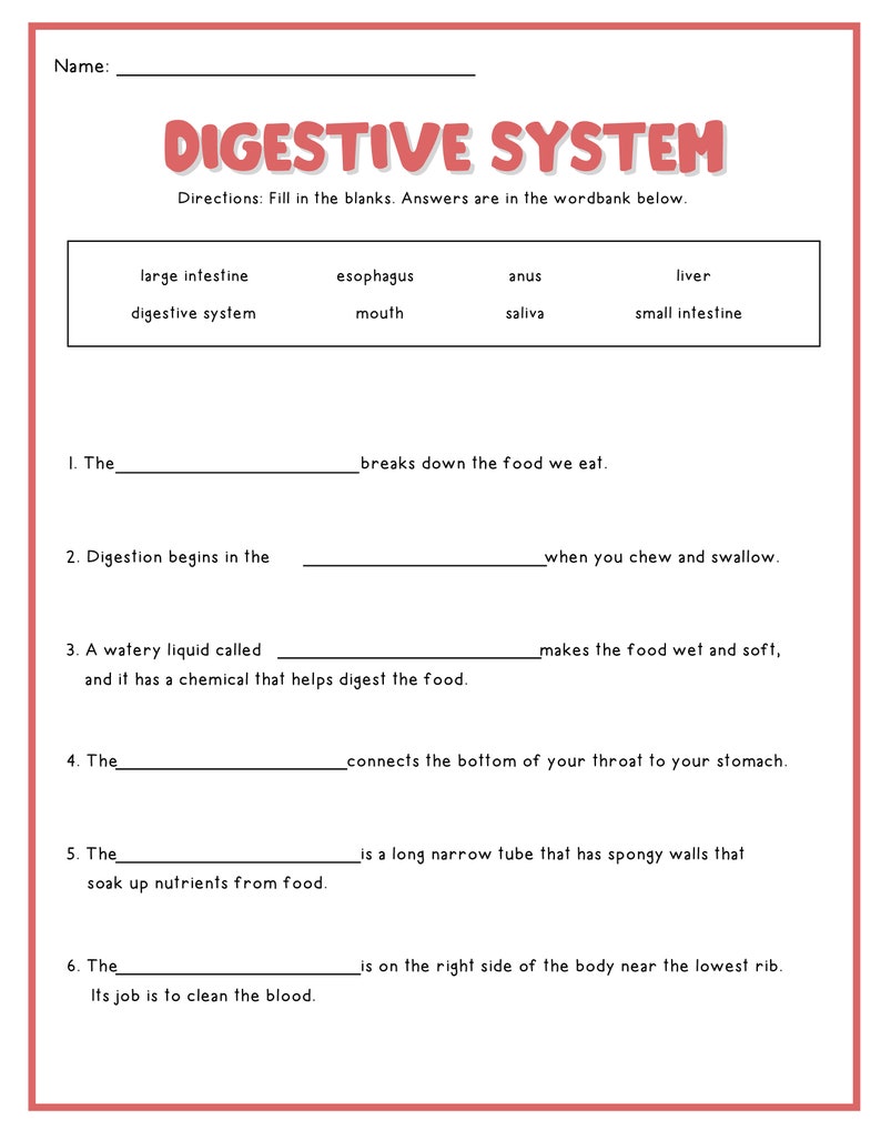The Digestive System Digestive System Digital Download - Etsy