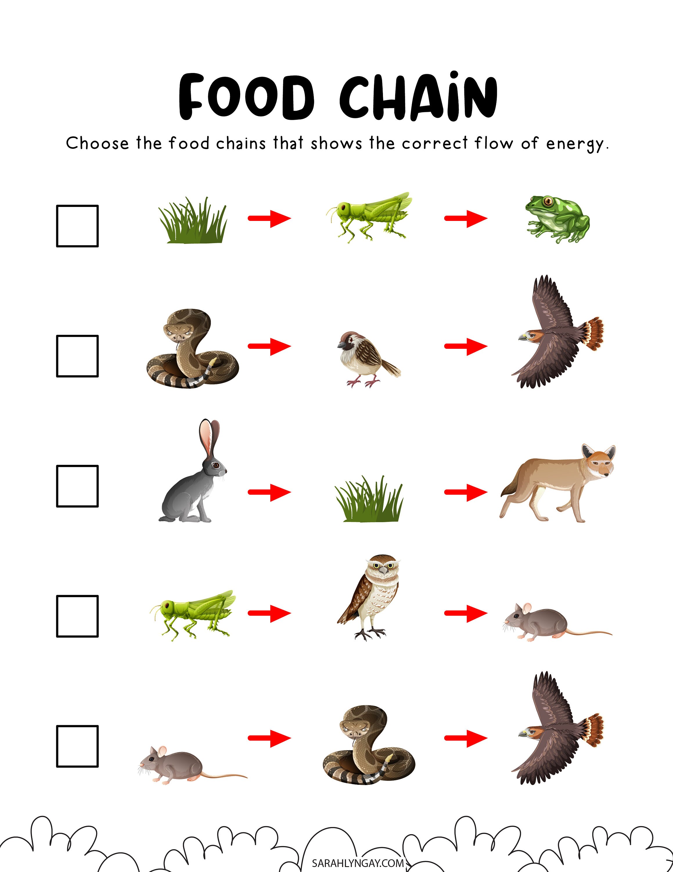 Food Chain Printable Set, Food Chain, Printable Download, Instant ... Biology Diagrams