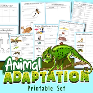 Peut inclure: Un ensemble d'ateliers imprimables pour enseigner les adaptations animales. Les ateliers présentent des illustrations colorées d'animaux et de leurs adaptations, notamment les adaptations structurelles et comportementales. Les ateliers sont conçus pour aider les élèves à apprendre les différentes façons dont les animaux se sont adaptés à leur environnement.