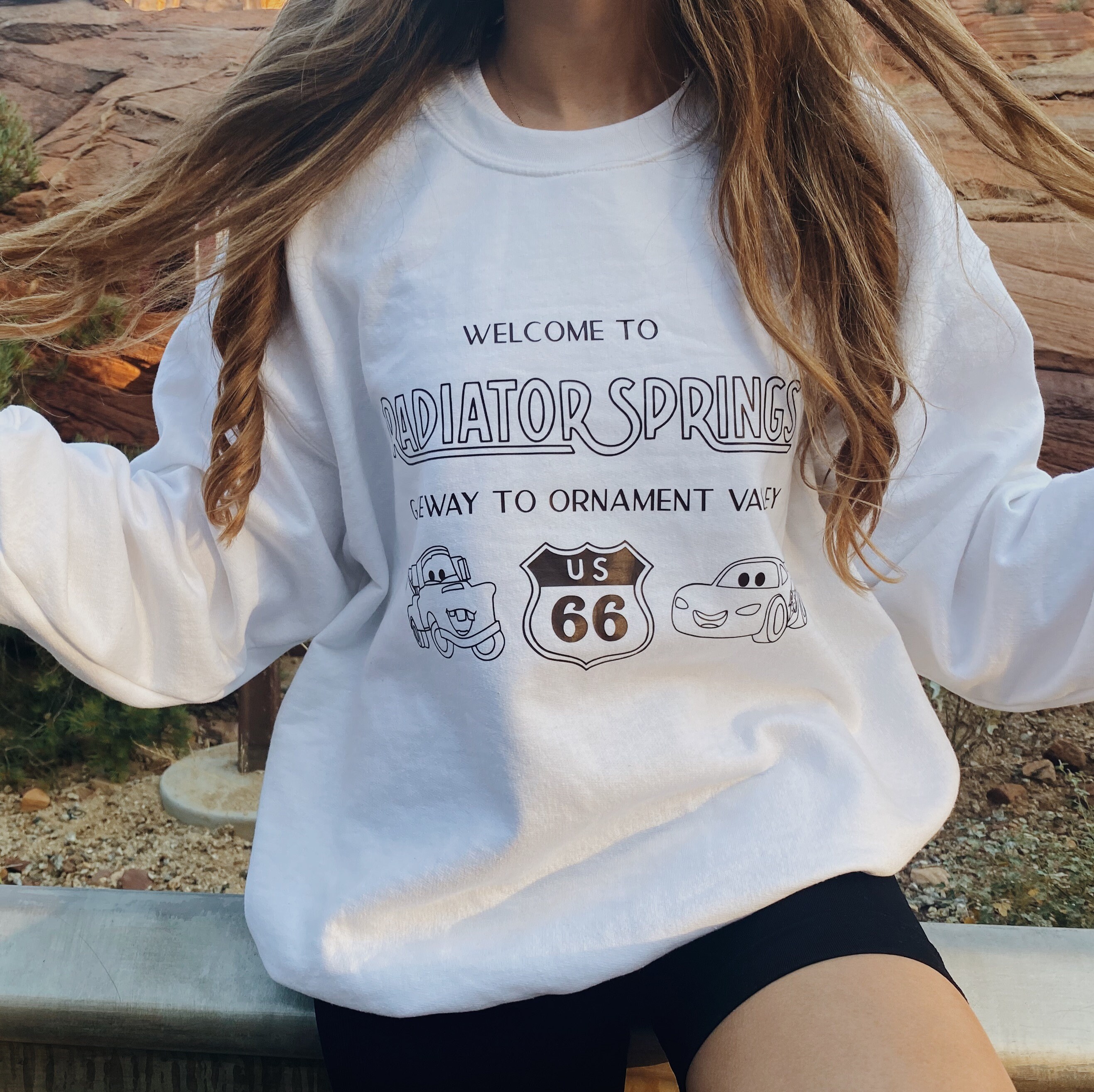 Radiator Springs Disney Cars Crewneck Pullover Sweatshirt Etsy