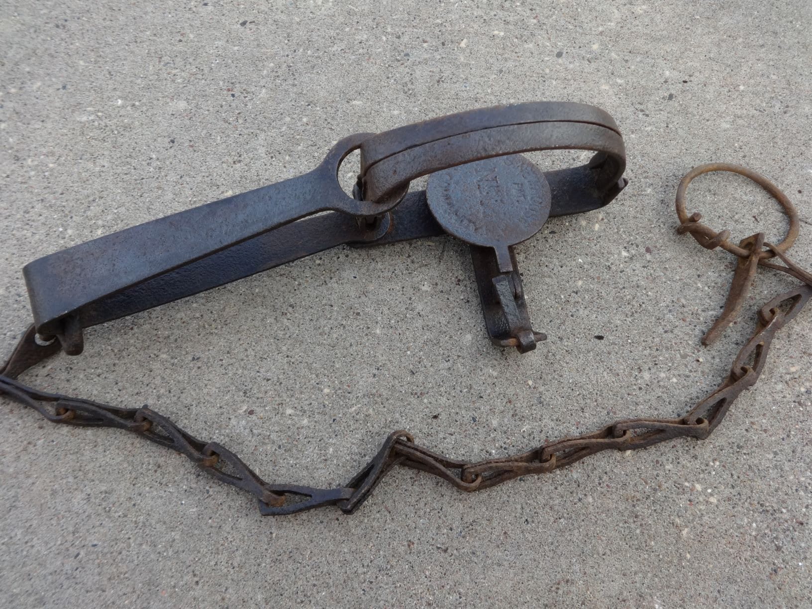 Newhouse Trap for sale compared to CraigsList Only 2 left at 70