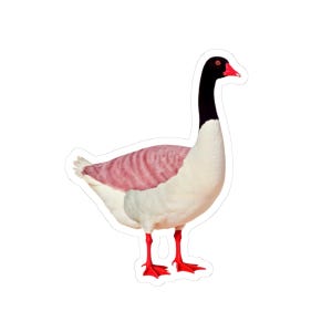 Whimsical Goose Kiss-Cut Stickers, Cute Animal Notebook Decals, Laptop Stickers, Unique Gifts for Nature Lovers, Fun Sticker Art