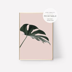 Print #60, Mostera Tropical Leaf Print, Botanical Wall Art, Floral Decor, Flower Poster, Printable Leaf, Instant Download