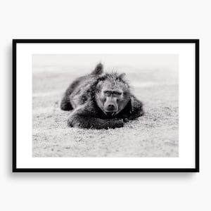 A1 Limited Edition Fine Art Print Baboon Portrait Poster Savanna Wildlife Travel Wall Art South African Decor Gift For Travel Animal Lovers
