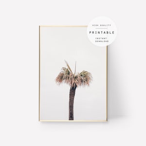 Print #120, Palm Tree Print, Palm Wall Art, Tree Decor, Plants Poster, Printable View, Instant Download, Nature Print